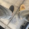 ®️onnie two shoes 's profile picture
