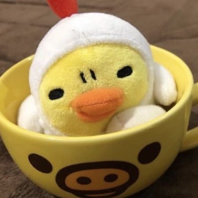 kkamneko's profile picture