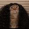 Juan Pedro's profile picture