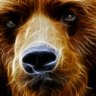 Joni Bear's profile picture