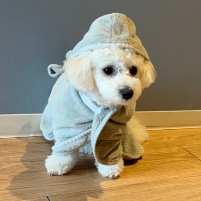 apo_ro0923's profile picture