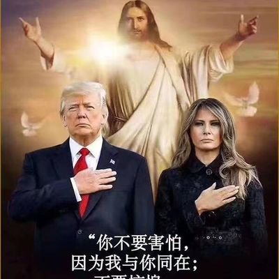 鳳凰綠葉's profile picture
