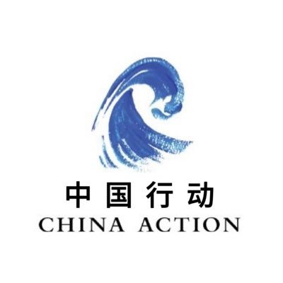 China Action's profile picture