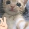 Profilbild von Garb