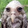 Profilbild von Rodion