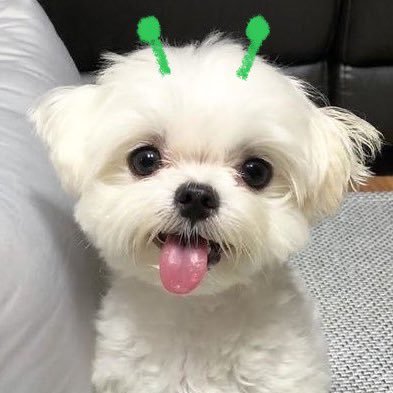 pado.. (영훈사랑해요)'s profile picture