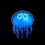 Profilbild von くらげ