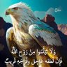الصقر الفلاحي 的头像