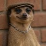 Profilbild von 0xBidexxx