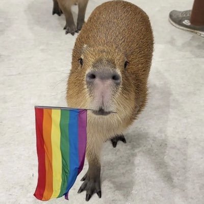 malululu0's profile picture