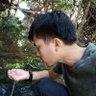 jodhema 的头像