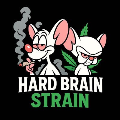 HardBStrain's profile picture