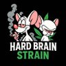 HARD BRAIN 🧠 STRAIN 🌳 的头像