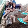 kenyanthropus 的头像