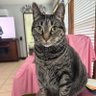 Buddy's Mom's profile picture