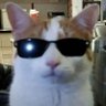 Profilbild von booshi