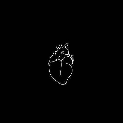 طائر الجنوب's profile picture