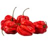 Фото профиля Habanero