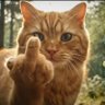 yscat$ profil fotoğrafı