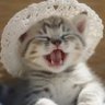 Mais's profile picture
