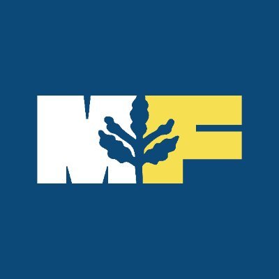 Mevzu Fener's profile picture