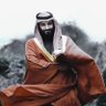 Фото профиля Amin Mahmood