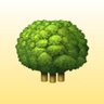 Фото профиля forest