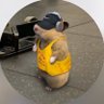 Gymrat's profile picture