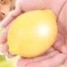 botじゃないbot's profile picture