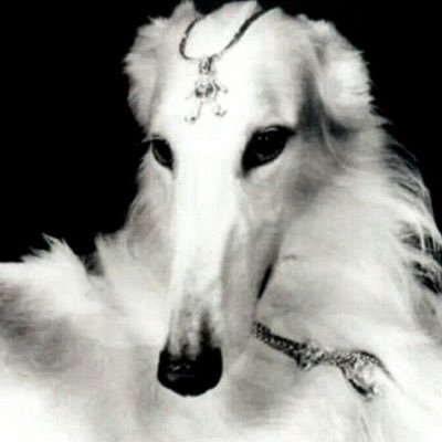 olga's profile picture