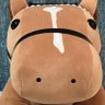 Profilbild von おどどん