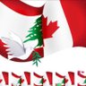 Anwar khalil's profile picture