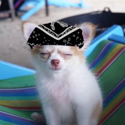 TingTongTai's profile picture