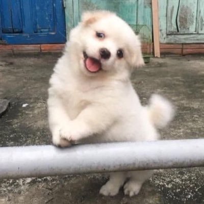 누..'s profile picture