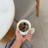 كتلوني❤️💙 的头像