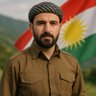 Roj Ava profil fotoğrafı