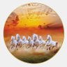 Nadir Shah's profile picture