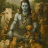 Фото профиля Raj