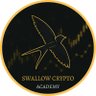 Profilbild von Swallow Academy
