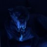 Abdul's profile picture