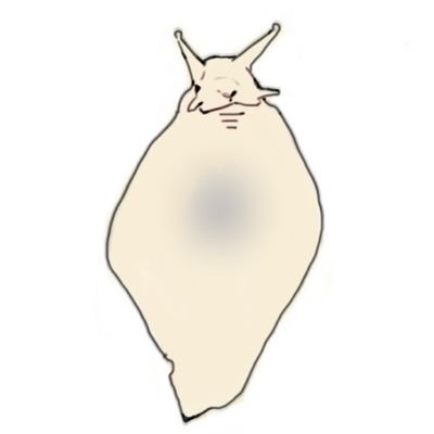 0ooO0oOOOooo0's profile picture