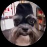 Alvares's profile picture