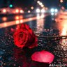 Aqeel Lodhi 的头像