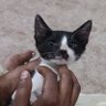 परीक्षित's profile picture