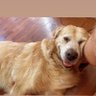 wabakii's profile picture