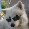 Profilbild von Melius