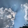 Фото профиля zhangfm