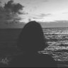 Bushra _MBS 🇸🇦's profile picture