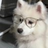 鸡胸肉 profil fotoğrafı