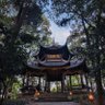 碳烤青鸟's profile picture